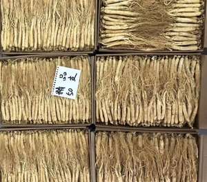 1000 г, оптовая продажа, корень белого женьшеня Changbai Mountain, для трав - Product Image 6