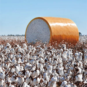 Película Amarilla de Protección PP Óptima para Envoltura de Pacas, Grado Industrial para Uso Agrícola, Alta Resistencia a la Tensión, Proceso de Moldeo por Inyección, Dureza Suave - Product Image 2