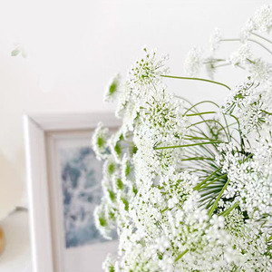Fiori Freschi di Grado A Lei Si - Bianchi per Composizioni Floreali, Decorazioni per la Festa della Mamma e San Valentino, Direttamente dal Coltivatore, Catena del Freddo - Product Image 4