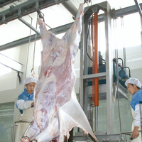Ensemble d'équipements de traitement du bétail pour l'abattage : Scie à viande, Rail de levage, Crochet de levage, Élévateur de carcasses, Boîte d'étourdissement