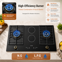 Table de cuisson encastrable à quatre brûleurs à allumage piézoélectrique haute efficacité, surface en verre, écoénergétique, gaz et électrique – Fournisseur
