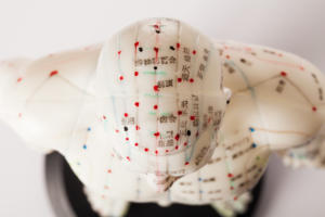 Manekin Akupunktur Merek <span class=keywords><strong>Hwato</strong></span> Model Akupunktur - Product Image 6