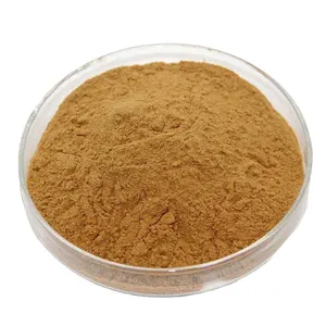 High Quality Supplements Bee Propolis 5:1 Powder Propolis