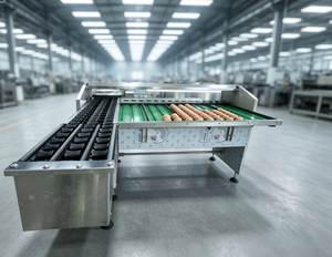 Rueda transportadora ajustable para clasificador de huevos: Solución para el retraso en el transporte y avance. - Product Image 3