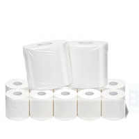 Papier toilette biodégradable jetable en pâte de bois vierge, doux et blanc, vente en gros en vrac pour usines, écologique
