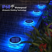 Chaud extérieur étanche IP68 solaire alimenté chemin escalier lumière jardin décoration balcon clôture cour bleu lumière LED pont étape lumières