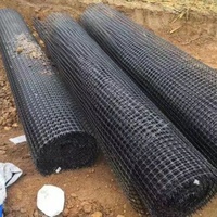 Geogrid Factory Nouveaux matériaux PP Géogrille biaxiale 30kN 40kN pour chaussées en ciment armé, travaux de terrassement et construction routière