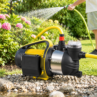 Pompe à eau de surface auto-amorçante portable 900W avec tête en acier inoxydable pour l'irrigation de jardin et le transfert d'eau