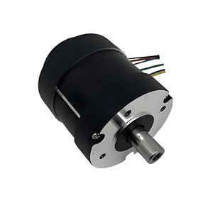 Động cơ DC không chổi than 80BLR Series 48V <span class=keywords><strong>150w</strong></span> chất lượng cao, tiếng ồn thấp, dùng cho thiết bị cơ khí - Product Image 1