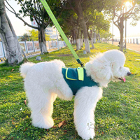 Haute qualité Fluorescent Gilet Chien Veste Vêtements Vente Chaude Pet Vêtements D'été Grand
