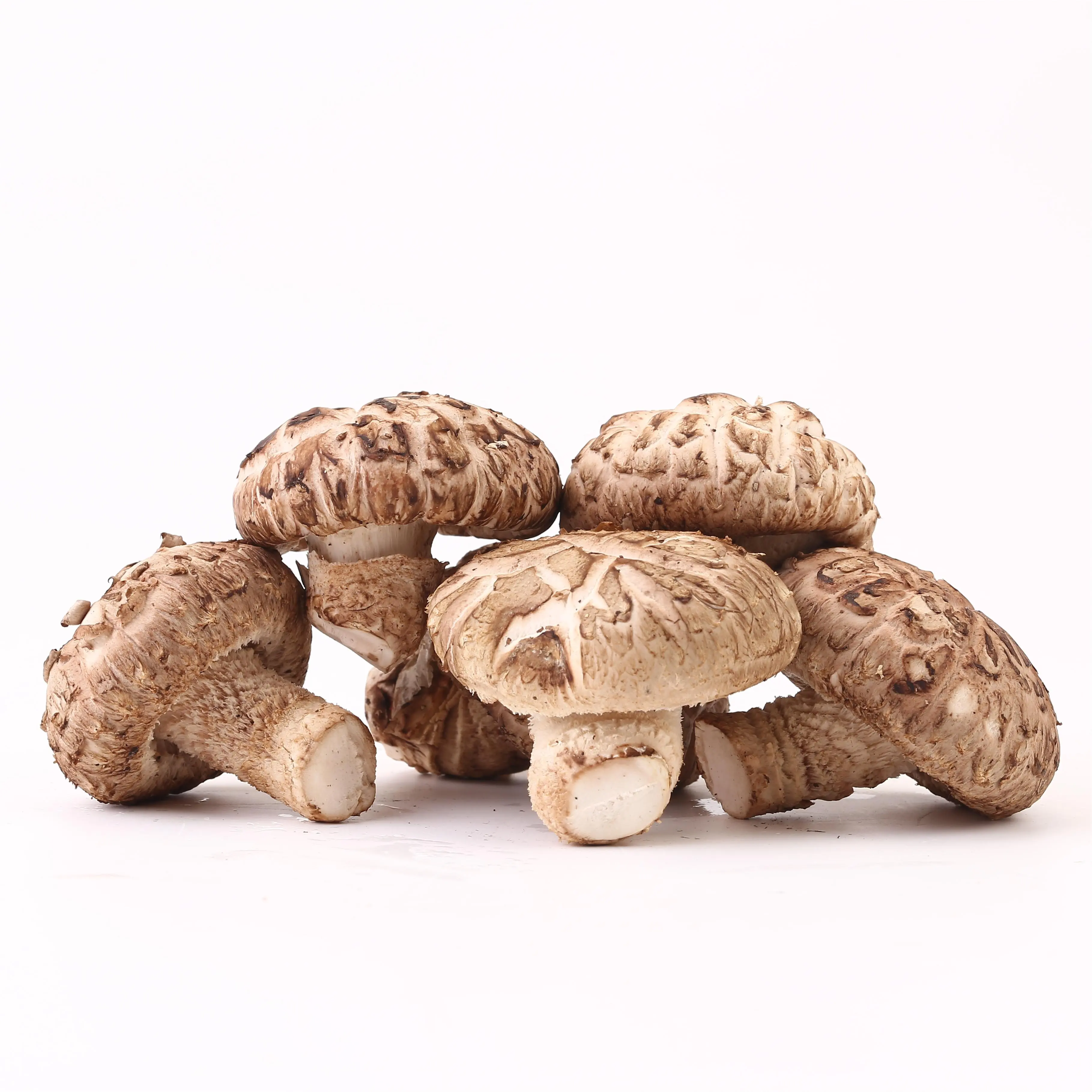 China Hottest Sale Exotic Vegetables fungus not dried Fresh Shiitake Mushrooms