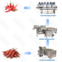 Kwaliteitsborging Automatische Paprika & Chili Pepermolen Efficiënte Voedselverwerkingsmachine Chili Verwerkingsmachine
