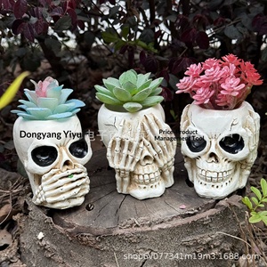 Maceta con diseño de calavera pastoral, sin motivos decorativos, para suculentas, decoración para el hogar y exteriores, de resina sintética - Product Image 5