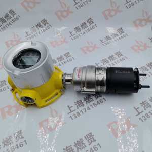 เครื่องตรวจจับก๊าซไวไฟ FGM-6400 ของแท้ใหม่แกะกล่องพร้อมส่ง RAE Systems FGM-6400MultiRAE PGM-6228 FGM-6400FGM-6400 - Product Image 4