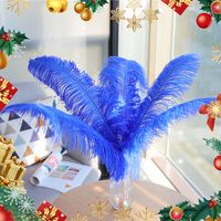 50-55cm Royal Plumes D'autruche Drabs Décoration Pour Costumes De Carnaval Décoration De Table Teint Couleur Plumes D'autruche Pour Le Mariage