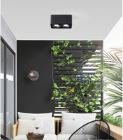 Éclairage intérieur 5W 10W 20W 30W Plafonnier encastré noir blanc à tête simple ou double LED