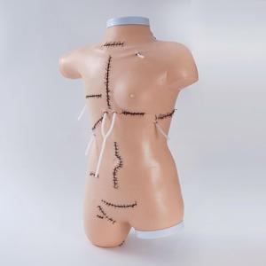 Modelo de Entrenamiento <span class=keywords><strong>en</strong></span> Sutura Quirúrgica y Aplicación de Vendajes - Simulador de Desbridamiento de Heridas <span class=keywords><strong>en</strong></span> Torso Femenino para Enfermería Médica - Product Image 4