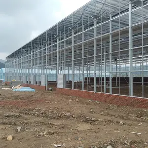 Large Multi-Span Greenhouse With Outside Sunshade System For Agriculture Greenhouse Use