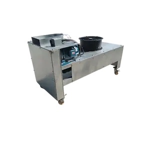 Machine automatique de retrait de fibre de noix de coco brune sèche ancienne machine de polissage de noix de coco