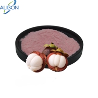 Halal gecertificeerd natuurlijk mangosteen fruitpoeder, wateroplosbaar mangosteen sap poeder voor dranken, bakken, ijs en als grondstof
