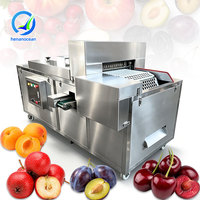 OCEAN Automatische Kersen-Avocado Ontpitmachine Klein SUS304 Abrikoos Gedroogde Dadel Pruimen Ontpitmachine Prijs