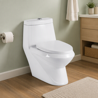 Ensemble WC et siège de toilette Western Diamond, idéal pour les toilettes à chasse d'eau, céramique monobloc, idéal pour les sanitaires classiques