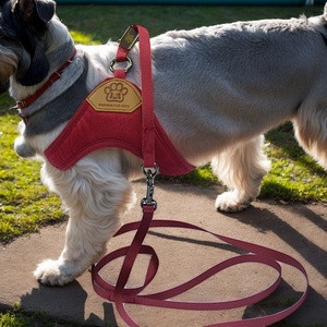 ชุดสายรัดหน้าอกสุนัขผ้ากำมะหยี่เนื้อด้านรูปตัว Y ที่มีหัวเข็มขัดที่ทันสมัยเชือกดึงเสื้อกั๊กทำจากโพลีเอสเตอร์ที่ทนทาน - Product Image 3