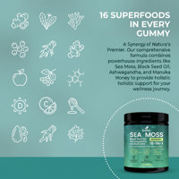 Gummies de mousse de mer Solilan, directement de l'usine, avec huile de graines noires et Ashwagandha, favorisent la santé intestinale