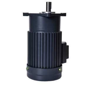 Motor de CA Pequeño de Bajas RPM 3.7KW 220V 380V 415V con Controlador de Velocidad CV-40-3700, Motor Asíncrono de CA con Control de Velocidad - Product Image 2