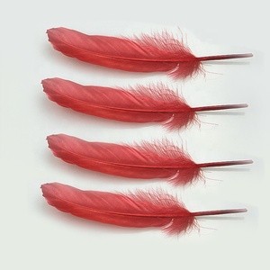สีที่สวยงามย้อมขนห่านธรรมชาติลงราคาพรรคขนนก - Product Image 1