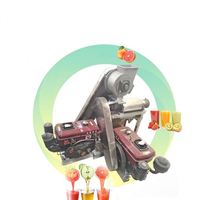 Presse à jus de bonne nature, machine à extraire les jus d'orange, fruits naturels, ananas, gingembre