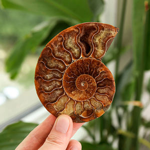 haute qualité, pierres minérales naturelles de guérison, quartz clair, forme libre, cristal irrégulier - Product Image 3