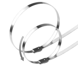 Attaches de câbles en acier inoxydable, 4.6mm, autoverrouillantes, matériau 304, fixation de câbles industriels, résistantes aux hautes températures jusqu'à 500 - Product Image 1