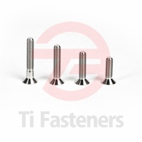 Ti Fastener M4 M5 M6 M8 M10 M12 DIN7991 Gr5 Vis à tête fraisée en titane Socked Bolt