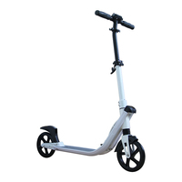 Trottinette adulte haute performance avec grandes roues, double suspension et double frein