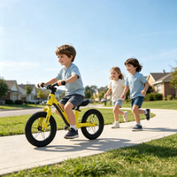 Vélo d'équilibre pour enfants de 12 à 14 pouces en alliage de magnésium de qualité supérieure, fabriqué en usine OEM, avec lumière décorative clignotante, sans pédales, pour enfants