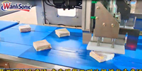 Machine à découper les sandwichs à ultrasons à double canal Wanlisonic pour les boulangeries, les usines de snacks et de produits laitiers