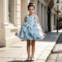Robe de princesse pour fille, sans manches, avec nœud sur l'épaule, corsage floral en strass, robe bouffante en organza à roses 3D, costume de demoiselle d'honneur pour mariage