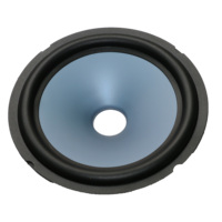 Cône de haut-parleur en aluminium de 10 pouces avec surround en caoutchouc Passive Car Subwoofer Speaker Driver Essential Accessory Kit