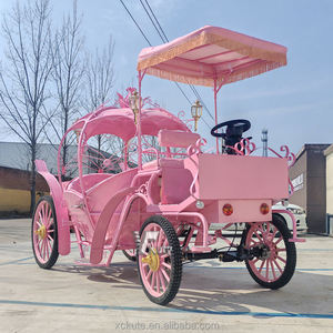 Stunning Electric Horseless Carriage for Wedding Ceremony Luxury Wedding Buggy English Style Sightseeing <b>Pumpkin</b> coach - Product Image 4