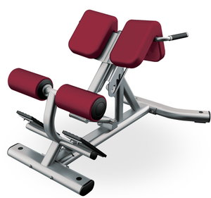 Appareil d'exercice pour le bas du dos Freeman Commercial Home Gym : <span class=keywords><strong>banc</strong></span> d'extension dorsale / chaise romaine - Product Image 1