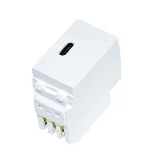 डीसी 5V 2.4A प्रकार सी दीवार माउंट आउटलेट चेहरा प्लेट पैनल कवर XJY-USB-50-C 46*38*23mm यूएसबी सॉकेट आउटलेट