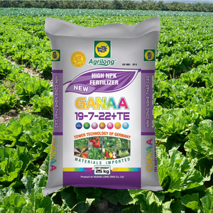 Engrais granulaire NPK 19-7-22+TE AGRILONG Premium du Vietnam, OEM ODM, pureté 100%, stimule les bourgeons floraux, formule à libération rapide - Product Image 5