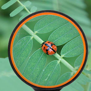 बच्चों के लिए 10x आवर्धक ग्लास पढ़ने वाले बच्चों के लिए 10x आवर्धक ग्लास पढ़ने के लिए विज्ञान प्रकृति अन्वेषण के लिए 50-100 मिमी आवर्धक लेंस - Product Image 2