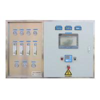 Système de pasteurisation à eau chaude PLC Auto 500L/H, système RO bipolaire, machine de traitement de l'eau en acier inoxydable haute pureté, approuvé CE/ISO