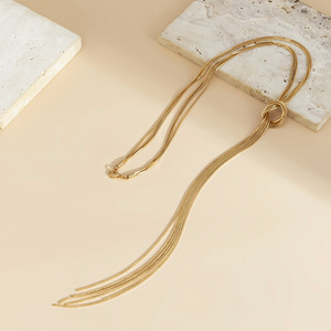 2025 Women's <strong>High</strong>-<strong>End</strong> Meila Long Chain Necklace Hot Selling Alloy Personalized Niche Tassel Chain Collarbone <strong>Jewelry</strong> - Product Image 4