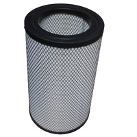 Filtre à air ORIGINAL P781182 P784021 RS30116 Utilisation pour filtre Donaldson 1535521 503136930 C3217521 C321752