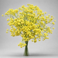108 Têtes de Fleurs Artificielles Souffle de Bébé Effet Naturel pour Accessoires de Photographie de Mariage, Décoration Intérieure et Arrangements Floraux de Pâques