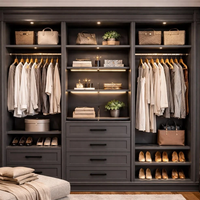 Armoire de chambre Aige moderne et ajustable, gain de place, dressing sur mesure avec éclairage LED, meuble de chambre design pour maison et hôtel