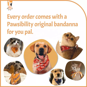 KingHon Vente en gros de coupe-ongles pour animaux de compagnie en acier inoxydable personnalisés, style avec lumière LED, adapté aux chats et aux chiens, fournitures de nettoyage - Product Image 5